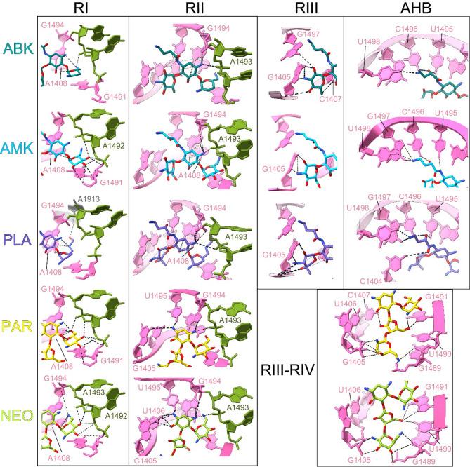 https://cdn.ncbi.nlm.nih.gov/pmc/blobs/657d/12104382/e04c71759b89/41598_2025_2391_Fig4_HTML.jpg