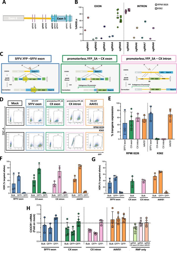 https://cdn.ncbi.nlm.nih.gov/pmc/blobs/6582/11589136/6127475d36eb/41467_2024_54515_Fig4_HTML.jpg