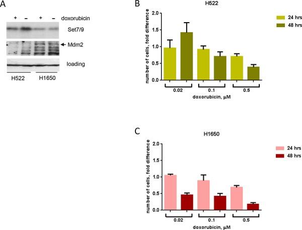 https://cdn.ncbi.nlm.nih.gov/pmc/blobs/6583/4694870/42b28c6d69fc/oncotarget-06-25843-g005.jpg
