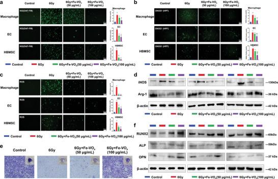https://cdn.ncbi.nlm.nih.gov/pmc/blobs/6585/11809426/36f985e962d7/ADVS-12-2413215-g002.jpg