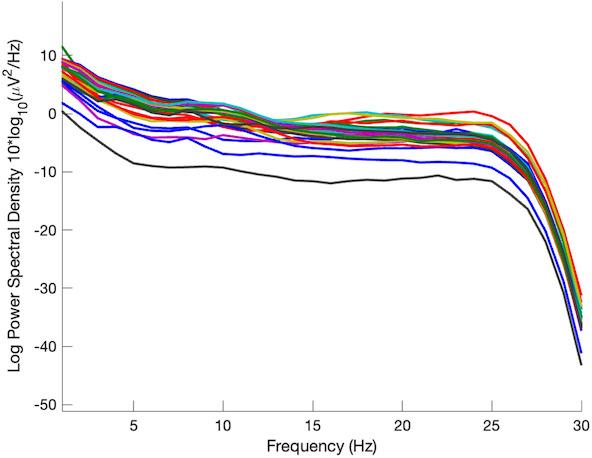 https://cdn.ncbi.nlm.nih.gov/pmc/blobs/6585/12084009/f605e704f989/elife-98143-sa4-fig1.jpg