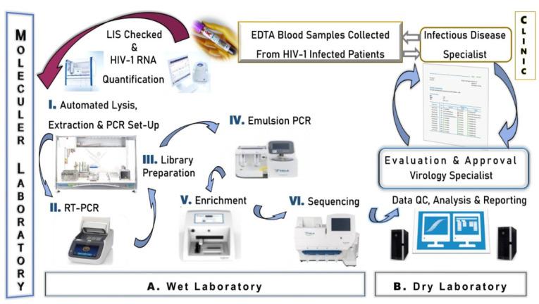 https://cdn.ncbi.nlm.nih.gov/pmc/blobs/6588/12031039/b91b04040566/viruses-17-00478-g001.jpg
