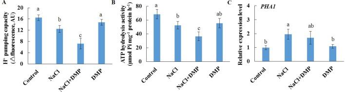 https://cdn.ncbi.nlm.nih.gov/pmc/blobs/6588/6746921/d1c975019ad7/fpls-10-01086-g009.jpg