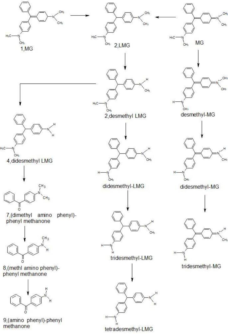 https://cdn.ncbi.nlm.nih.gov/pmc/blobs/658a/8717453/71def4ef13f4/gr1.jpg