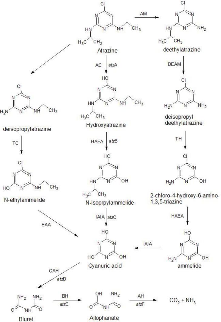 https://cdn.ncbi.nlm.nih.gov/pmc/blobs/658a/8717453/c753575e0bf9/gr2.jpg
