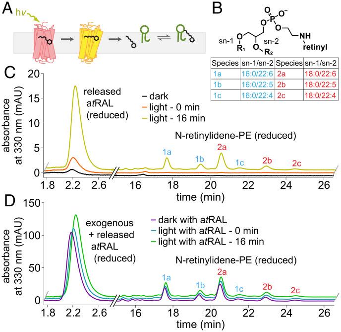 https://cdn.ncbi.nlm.nih.gov/pmc/blobs/658a/9659404/59ea7a526dae/pnas.2213911119fig03.jpg