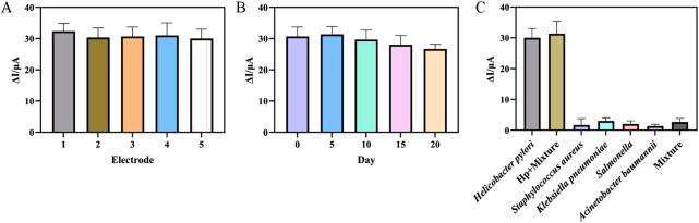 https://cdn.ncbi.nlm.nih.gov/pmc/blobs/658b/12283743/d6f5b3c57ffb/fbioe-13-1619336-g006.jpg