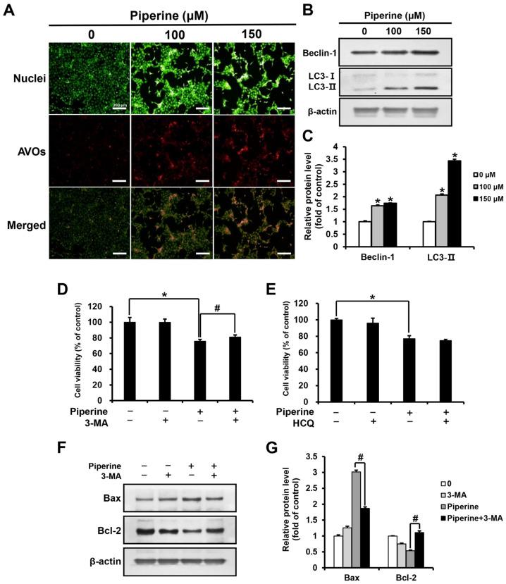 https://cdn.ncbi.nlm.nih.gov/pmc/blobs/658e/10530752/0b1e95d7ea71/ijms-24-13949-g003.jpg
