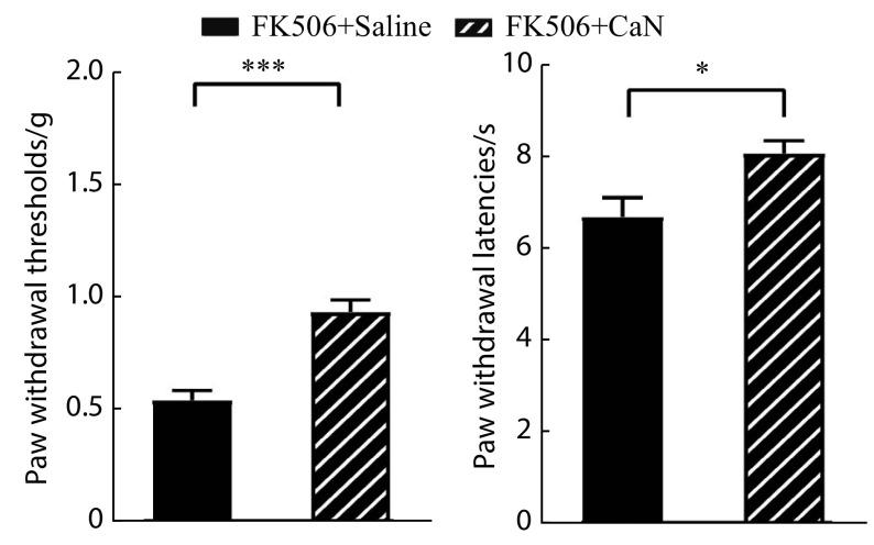 https://cdn.ncbi.nlm.nih.gov/pmc/blobs/658e/10839491/01ebaa536175/scdxxbyxb-55-1-132-3.jpg