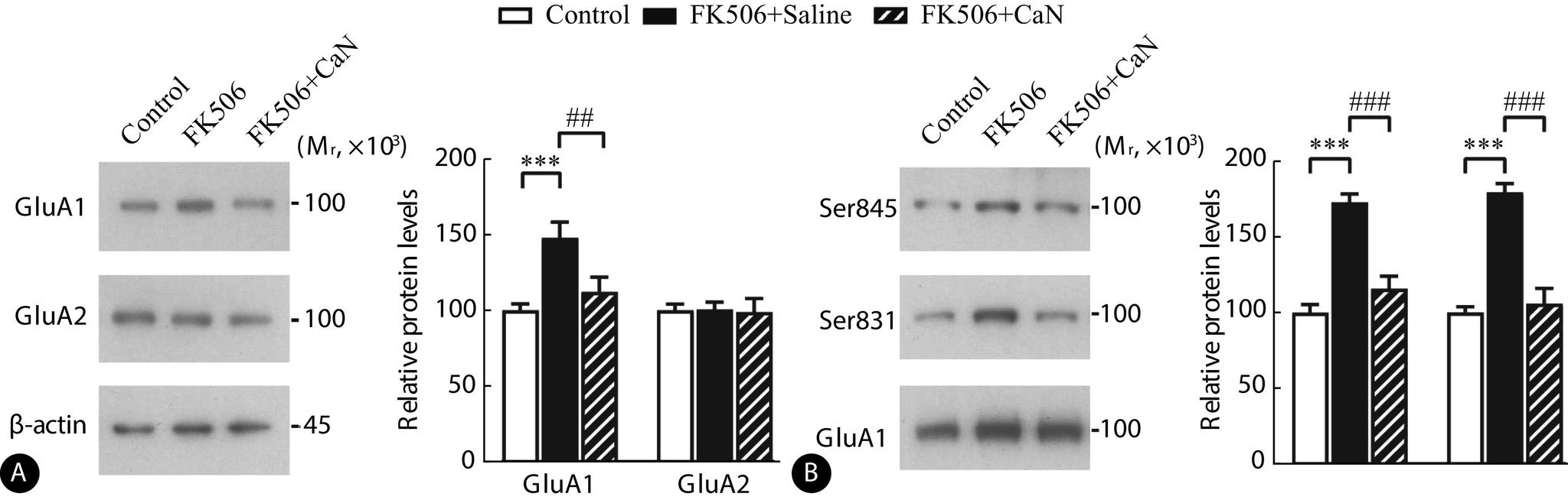 https://cdn.ncbi.nlm.nih.gov/pmc/blobs/658e/10839491/6ff314bbf8db/scdxxbyxb-55-1-132-4.jpg