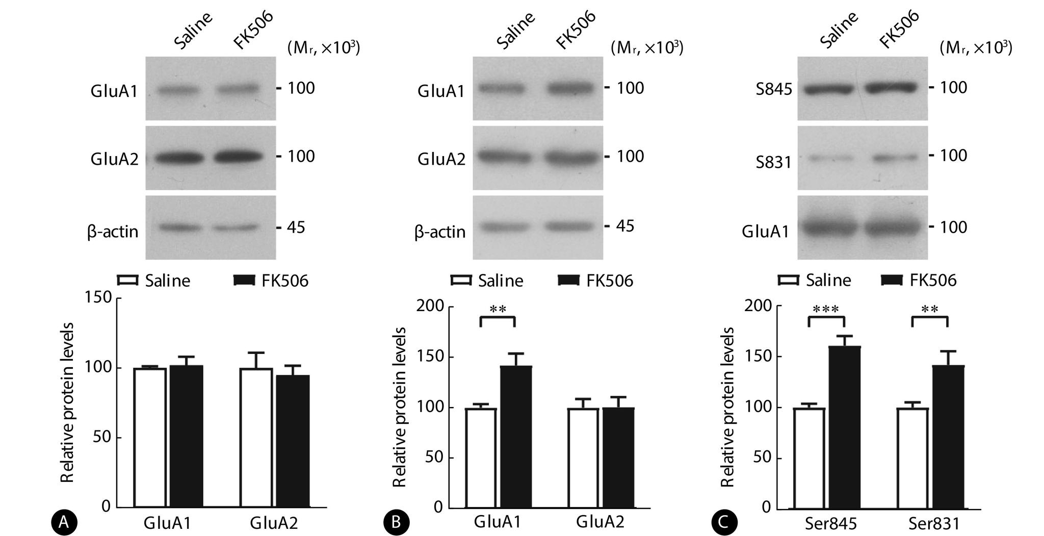 https://cdn.ncbi.nlm.nih.gov/pmc/blobs/658e/10839491/bffe2a919a8c/scdxxbyxb-55-1-132-2.jpg