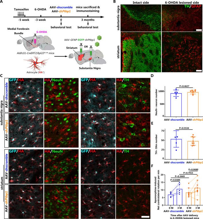 https://cdn.ncbi.nlm.nih.gov/pmc/blobs/658e/9208759/ae3bb3774739/elife-75636-fig3.jpg