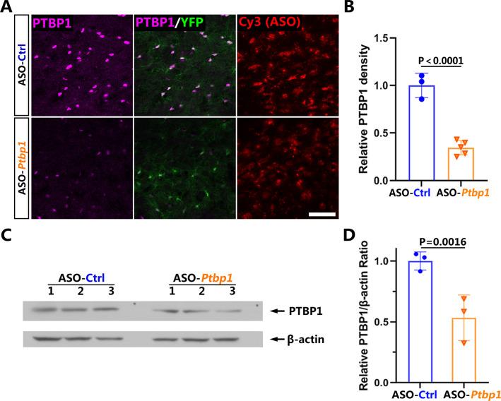 https://cdn.ncbi.nlm.nih.gov/pmc/blobs/658e/9208759/bbd5ca6bafa2/elife-75636-fig4-figsupp1.jpg