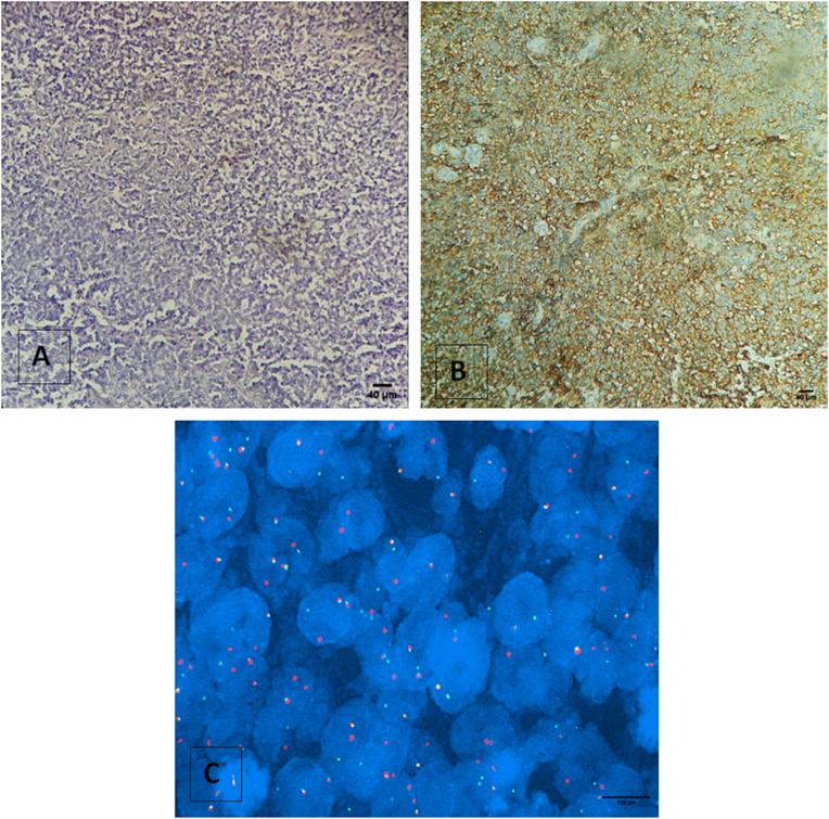 https://cdn.ncbi.nlm.nih.gov/pmc/blobs/6591/9508571/dd2be137f7ef/gr3.jpg