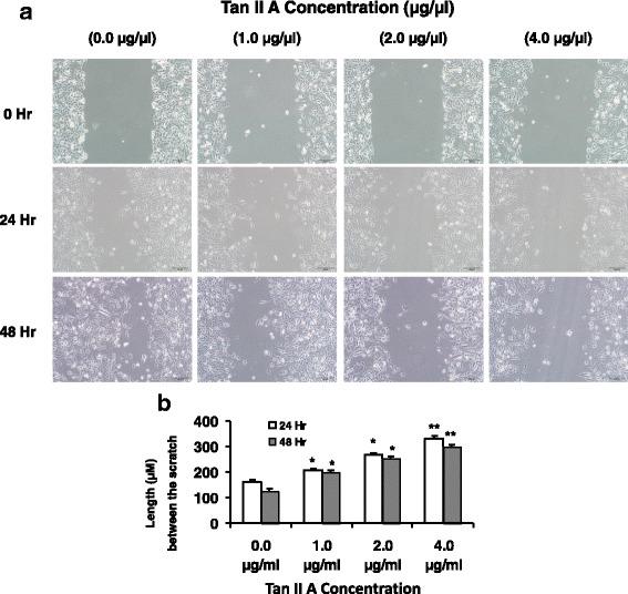 https://cdn.ncbi.nlm.nih.gov/pmc/blobs/6592/5441012/85369fd73427/12885_2017_3329_Fig3_HTML.jpg