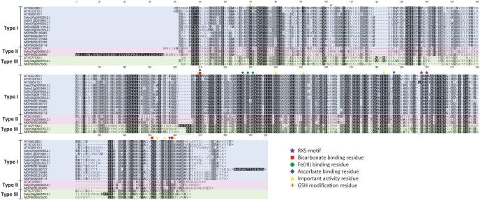 https://cdn.ncbi.nlm.nih.gov/pmc/blobs/6592/6549523/ad434874f939/fpls-10-00695-g003.jpg