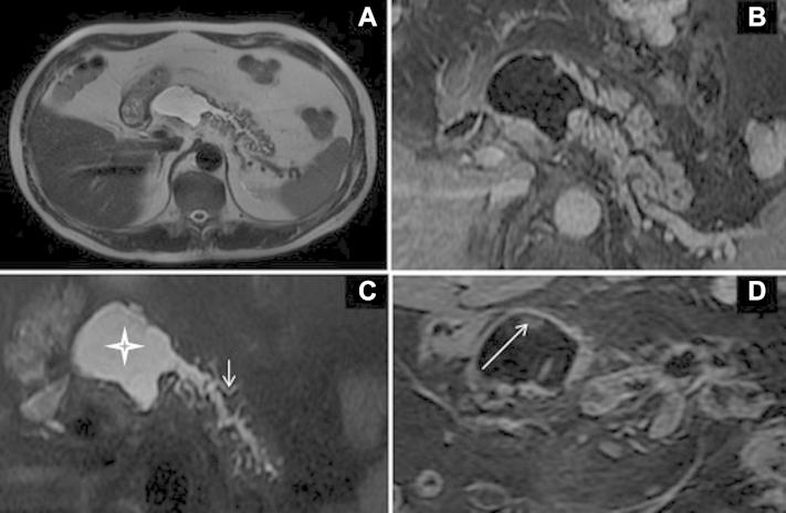 https://cdn.ncbi.nlm.nih.gov/pmc/blobs/6594/4769611/716f780bc1e6/gr2.jpg