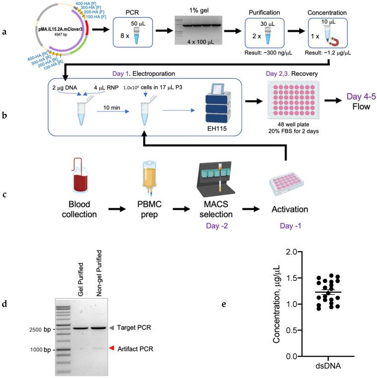 https://cdn.ncbi.nlm.nih.gov/pmc/blobs/6597/7352666/3acebc93ed8f/cancers-12-01704-g003.jpg