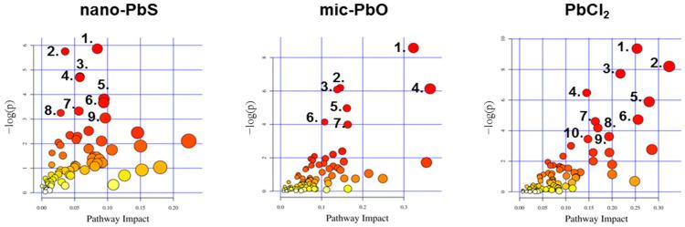 https://cdn.ncbi.nlm.nih.gov/pmc/blobs/6598/10675538/13f32d1c7f1d/nanomaterials-13-02911-g006.jpg