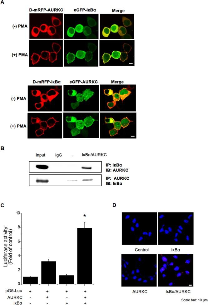 https://cdn.ncbi.nlm.nih.gov/pmc/blobs/659e/5642509/7ccabf8bc2fe/oncotarget-08-69691-g001.jpg