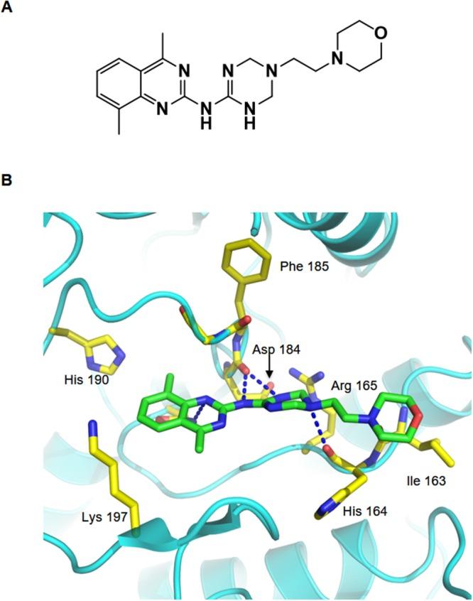 https://cdn.ncbi.nlm.nih.gov/pmc/blobs/659e/5642509/822ee0f6fc65/oncotarget-08-69691-g005.jpg