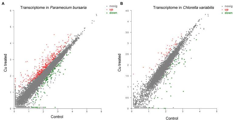 https://cdn.ncbi.nlm.nih.gov/pmc/blobs/659e/8984179/575c8c165bae/fmicb-13-834208-g004.jpg