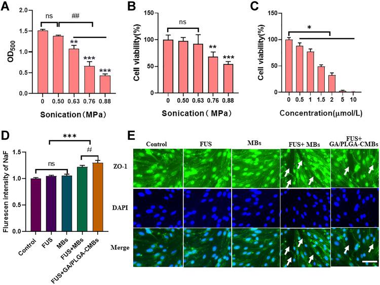 https://cdn.ncbi.nlm.nih.gov/pmc/blobs/659e/9078874/584079953ab8/IJN-17-2001-g0002.jpg