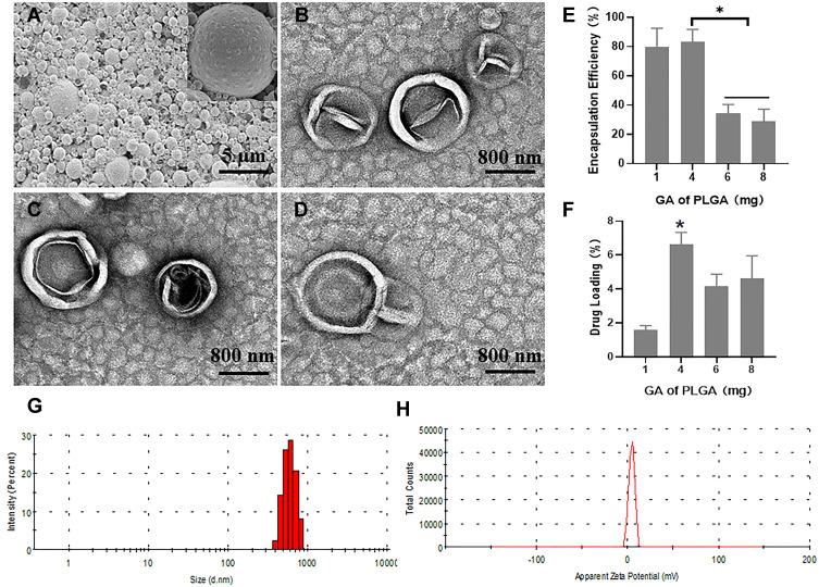 https://cdn.ncbi.nlm.nih.gov/pmc/blobs/659e/9078874/b4735a69f162/IJN-17-2001-g0005.jpg