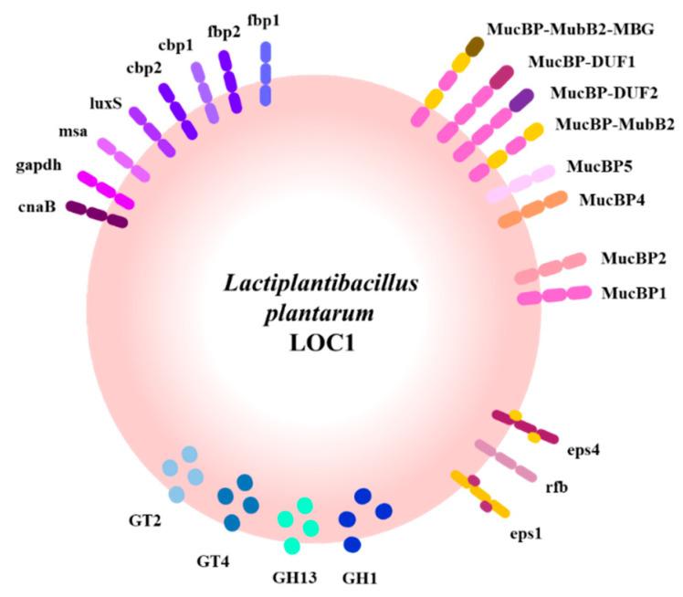 https://cdn.ncbi.nlm.nih.gov/pmc/blobs/659f/9602255/0b351698b80f/foods-11-03257-g013.jpg