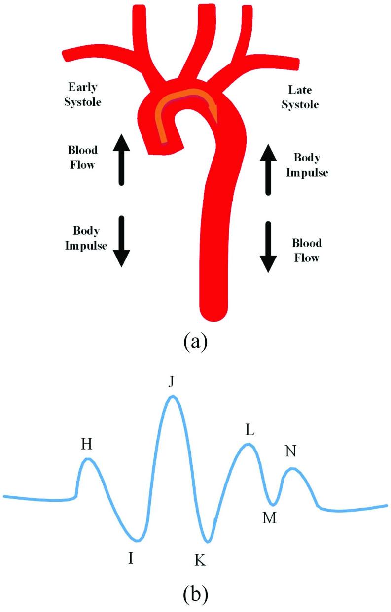 https://cdn.ncbi.nlm.nih.gov/pmc/blobs/65a3/8768984/2d20526e3519/li2ab-3063549.jpg