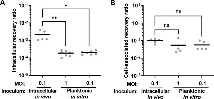 https://cdn.ncbi.nlm.nih.gov/pmc/blobs/65a4/9017951/bfe008a6da07/ppat.1010434.g008.jpg