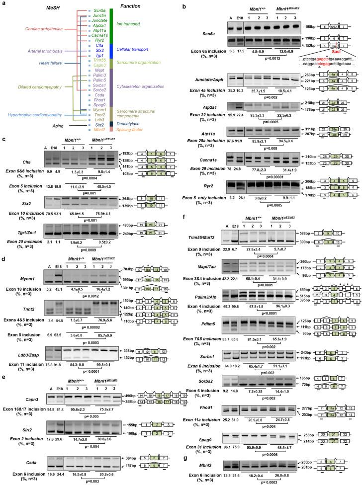 https://cdn.ncbi.nlm.nih.gov/pmc/blobs/65a6/4356957/593a8ad9c3b7/srep09042-f7.jpg