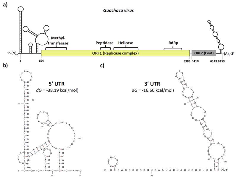 https://cdn.ncbi.nlm.nih.gov/pmc/blobs/65a7/10143313/1febaaa50203/viruses-15-00953-g002.jpg