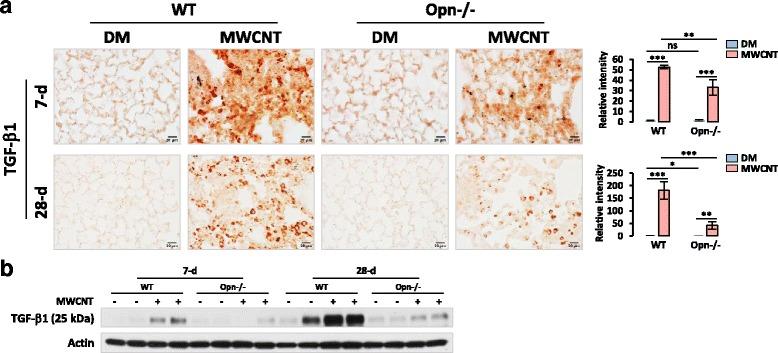 https://cdn.ncbi.nlm.nih.gov/pmc/blobs/65a8/5465601/0e2bed37c4a3/12989_2017_198_Fig7_HTML.jpg