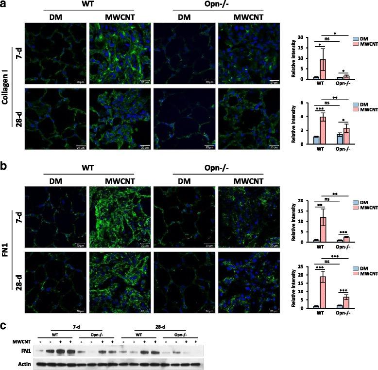 https://cdn.ncbi.nlm.nih.gov/pmc/blobs/65a8/5465601/b6fe2e769da9/12989_2017_198_Fig4_HTML.jpg