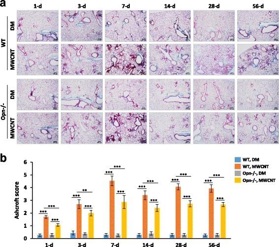 https://cdn.ncbi.nlm.nih.gov/pmc/blobs/65a8/5465601/c60fac5cbaad/12989_2017_198_Fig3_HTML.jpg