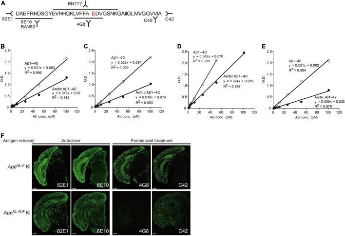 https://cdn.ncbi.nlm.nih.gov/pmc/blobs/65a9/9009508/3bf8d0c3a82d/fnins-16-807473-g007.jpg