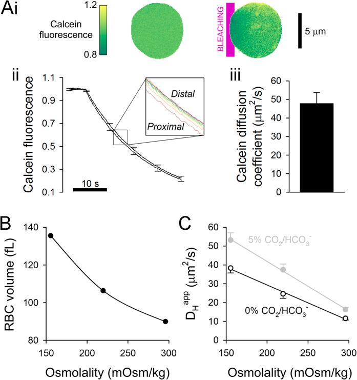 https://cdn.ncbi.nlm.nih.gov/pmc/blobs/65ac/5078773/288260a7d20f/srep36018-f2.jpg