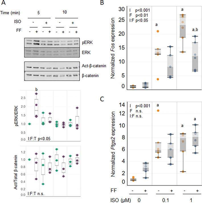 https://cdn.ncbi.nlm.nih.gov/pmc/blobs/65ac/9893264/38ca0b771bc2/JBM4-7-e10712-g001.jpg