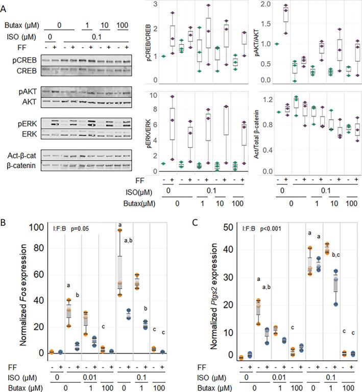 https://cdn.ncbi.nlm.nih.gov/pmc/blobs/65ac/9893264/4229d4c60275/JBM4-7-e10712-g006.jpg