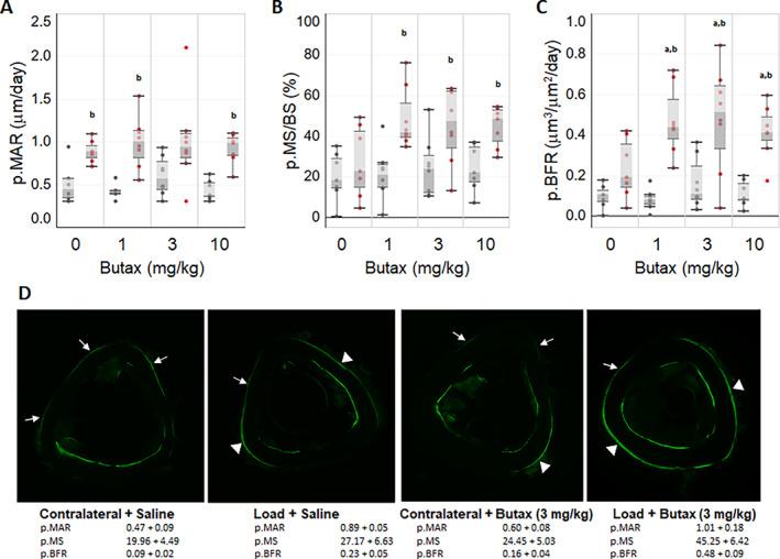https://cdn.ncbi.nlm.nih.gov/pmc/blobs/65ac/9893264/74b638cb8bd3/JBM4-7-e10712-g004.jpg