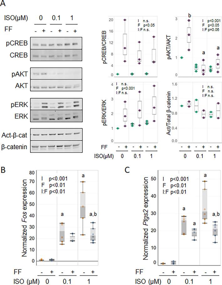 https://cdn.ncbi.nlm.nih.gov/pmc/blobs/65ac/9893264/8e485ea64695/JBM4-7-e10712-g005.jpg