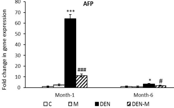 https://cdn.ncbi.nlm.nih.gov/pmc/blobs/65ad/12068496/1c3117bb70f9/AJP-15-1167-g002.jpg