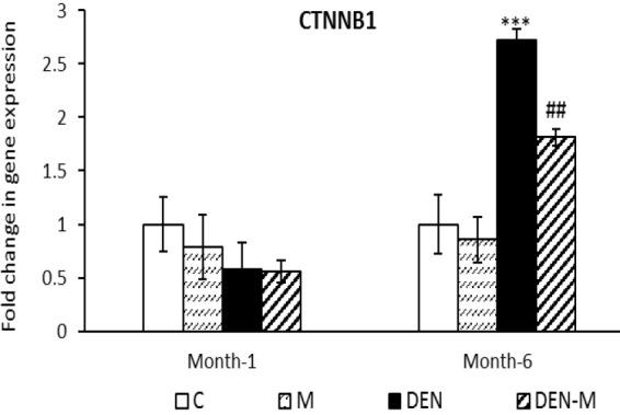 https://cdn.ncbi.nlm.nih.gov/pmc/blobs/65ad/12068496/21b3deec2f18/AJP-15-1167-g005.jpg