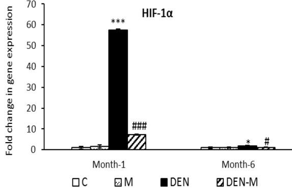 https://cdn.ncbi.nlm.nih.gov/pmc/blobs/65ad/12068496/39d120358bf3/AJP-15-1167-g006.jpg