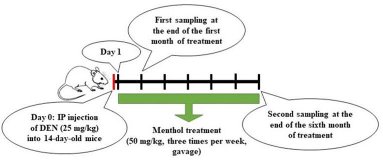 https://cdn.ncbi.nlm.nih.gov/pmc/blobs/65ad/12068496/8d8fff26d4fe/AJP-15-1167-g001.jpg