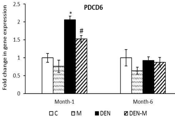 https://cdn.ncbi.nlm.nih.gov/pmc/blobs/65ad/12068496/98affdc6eeb8/AJP-15-1167-g003.jpg