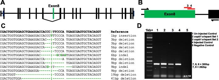 https://cdn.ncbi.nlm.nih.gov/pmc/blobs/65af/7908744/d0ae3554c132/13073_2021_850_Fig4_HTML.jpg