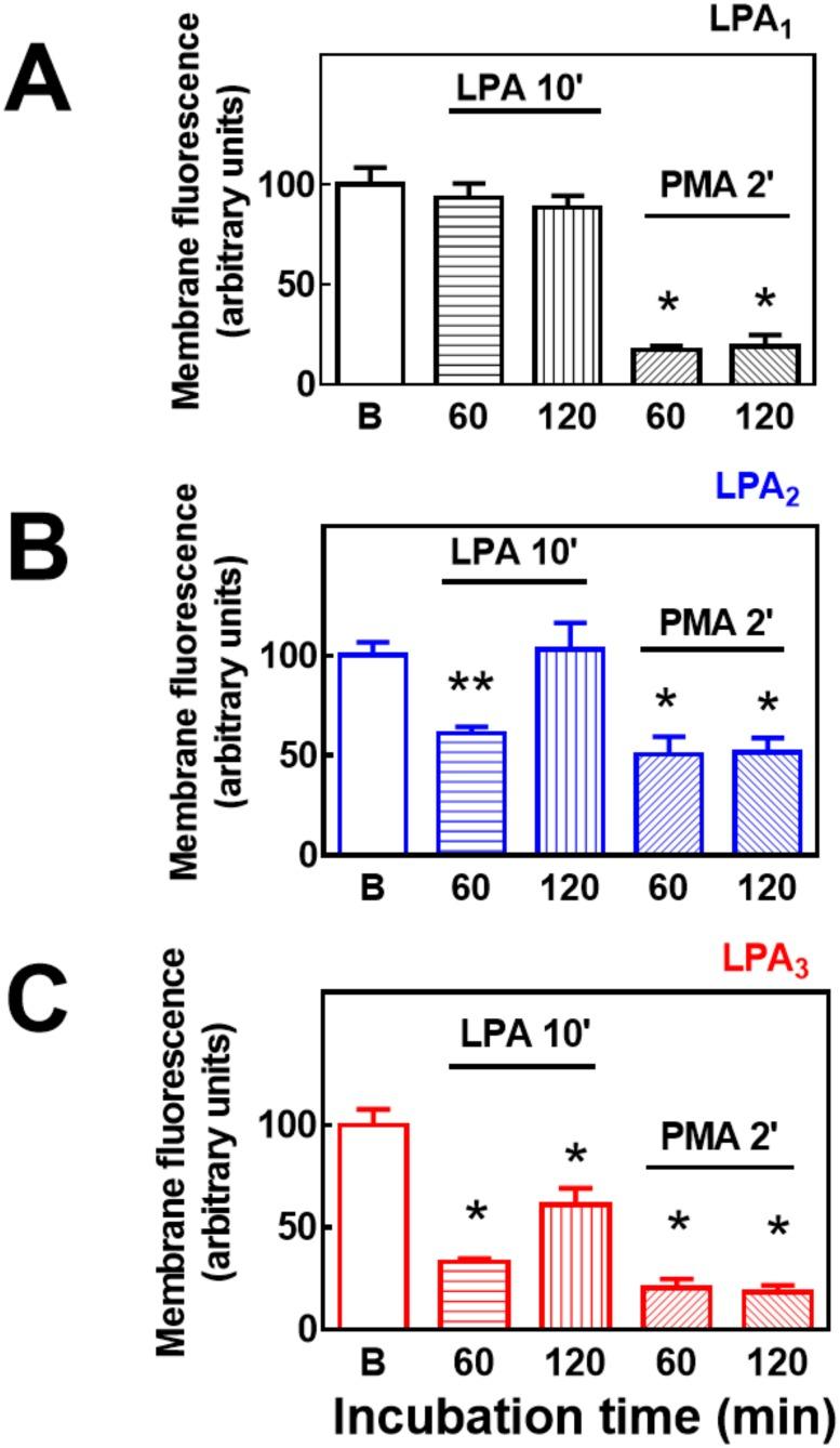 https://cdn.ncbi.nlm.nih.gov/pmc/blobs/65b0/4608732/275f34925ea4/pone.0140583.g016.jpg