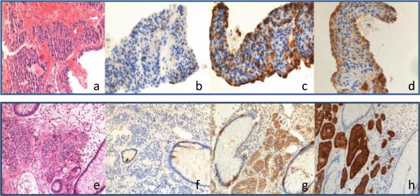 https://cdn.ncbi.nlm.nih.gov/pmc/blobs/65b1/4180833/65f688a78044/12885_2014_4872_Fig1_HTML.jpg